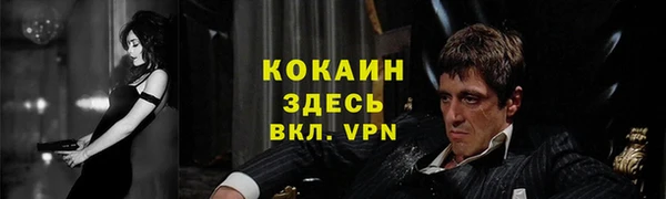 PSILOCYBIN Верея