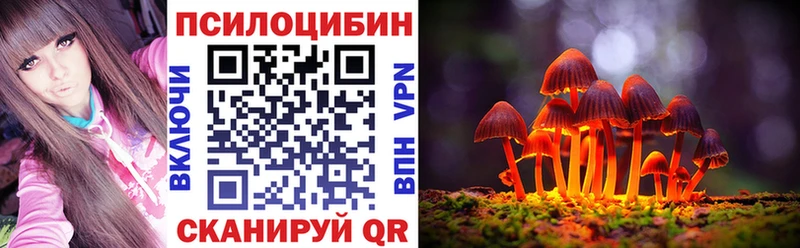 Псилоцибиновые грибы Psilocybine cubensis  Полтавская 